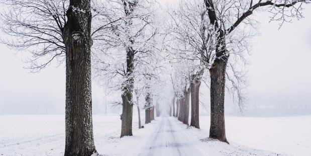 Sneeuw in Limburg