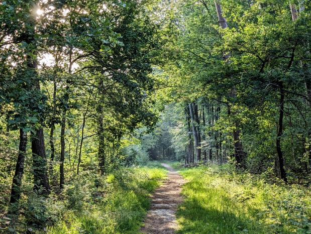 Wandelen in Nederland