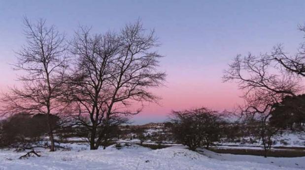 Foto via Pexels Sneeuw