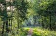Wandelen in Nederland